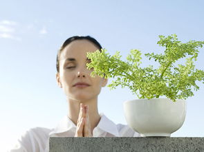 媒体曝光致明德产品创行业先河，引领中医养生保健服务新潮流