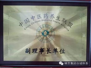 中医药养生保健服务 企业荣誉与行业卓越之路