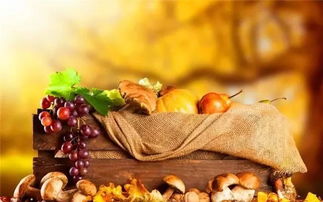 秋季养生家中必备食材10大排行榜，中医养生保健服务指南